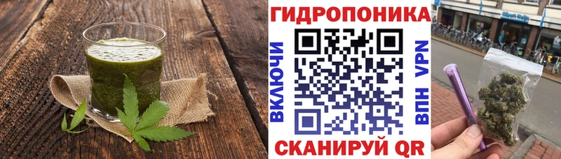 Cannafood конопля  Пласт 