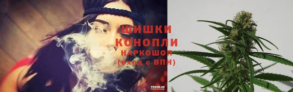 прущие крисы Струнино