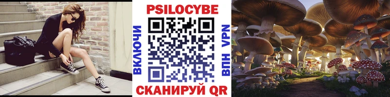МЕГА как войти  где купить наркотик  Пласт  Псилоцибиновые грибы Cubensis 